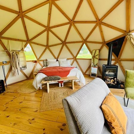 Dome Insolite Cedre Jacuzzi Et Petits Dejeuners Inclus Lagraulet-du-Gers Eksteriør bilde