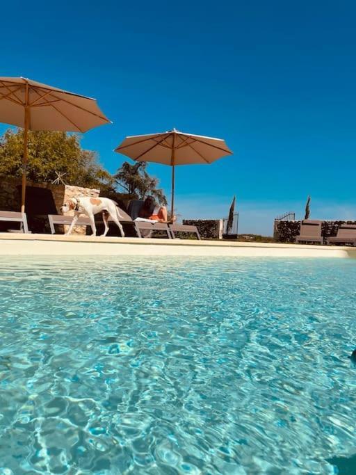 Dome Insolite Cedre Jacuzzi Et Petits Dejeuners Inclus Lagraulet-du-Gers Eksteriør bilde