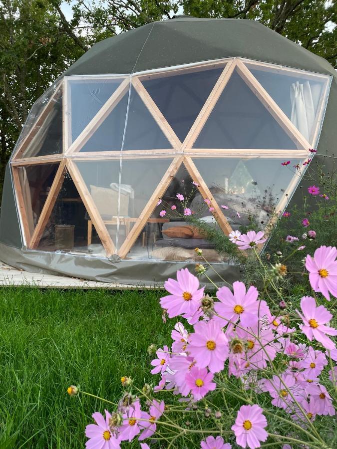 Dome Insolite Cedre Jacuzzi Et Petits Dejeuners Inclus Lagraulet-du-Gers Eksteriør bilde