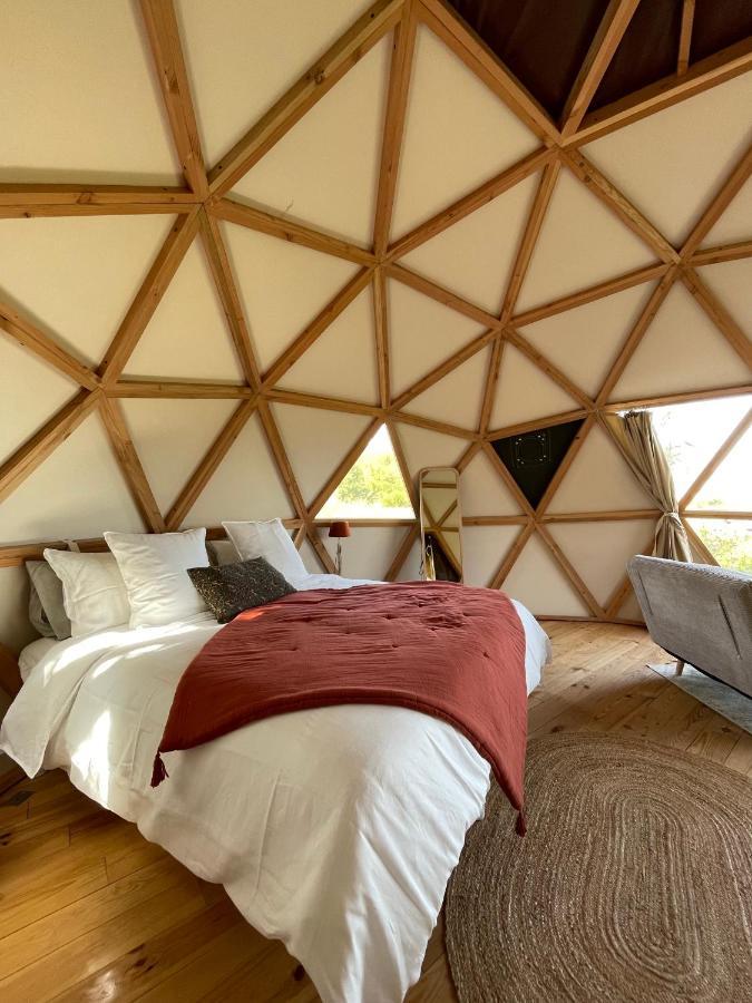Dome Insolite Cedre Jacuzzi Et Petits Dejeuners Inclus Lagraulet-du-Gers Eksteriør bilde